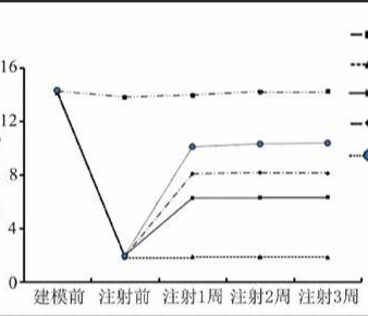 疼痛测定行为学实验