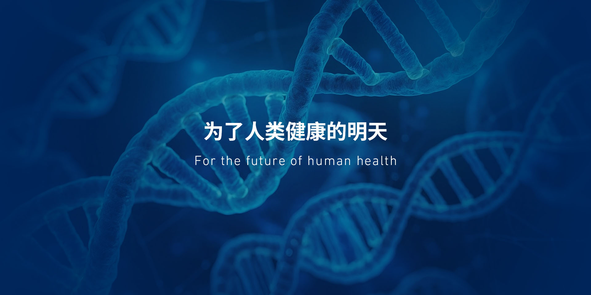 为了人类健康的明天